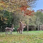 Domaine Epona