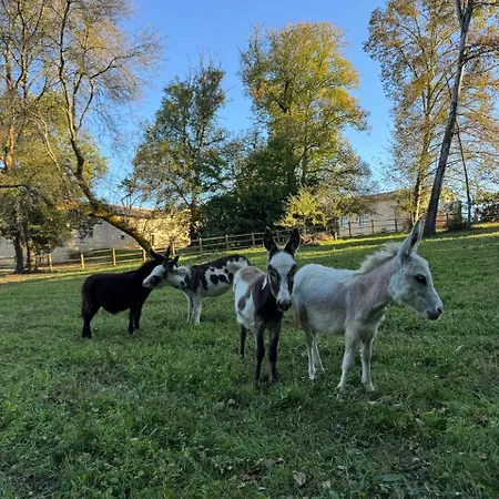 Дом отдыха Domaine Epona *