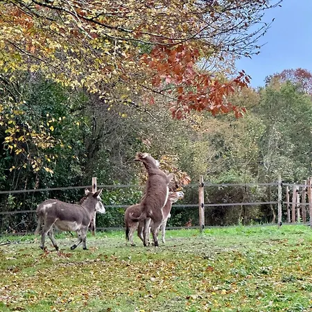 Domaine Epona