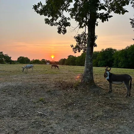 Сasa de vacaciones Domaine Epona Appt A *