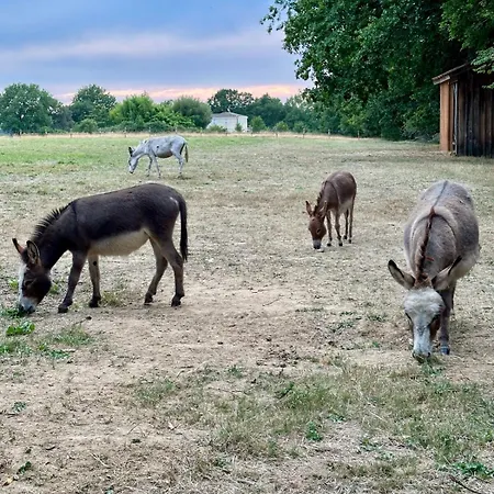 Σπίτι διακοπών Domaine Epona *