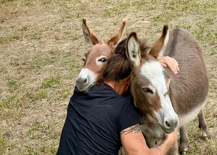 Domaine Epona Ferienhaus Pompignac