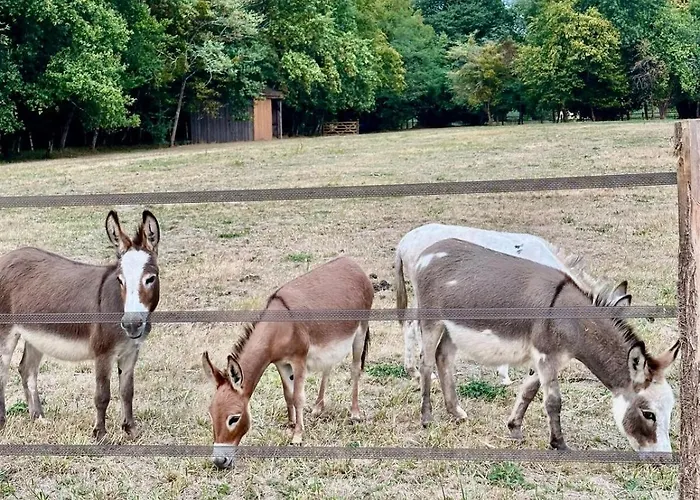 Nyaraló Domaine Epona