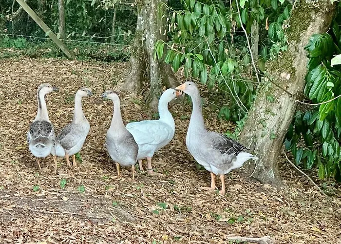 Domaine Epona Pompignac