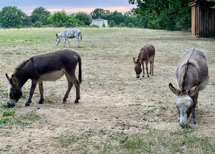Ferienhaus Domaine Epona *